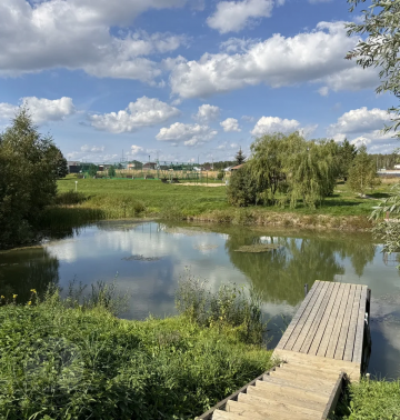 Водоем в поселке