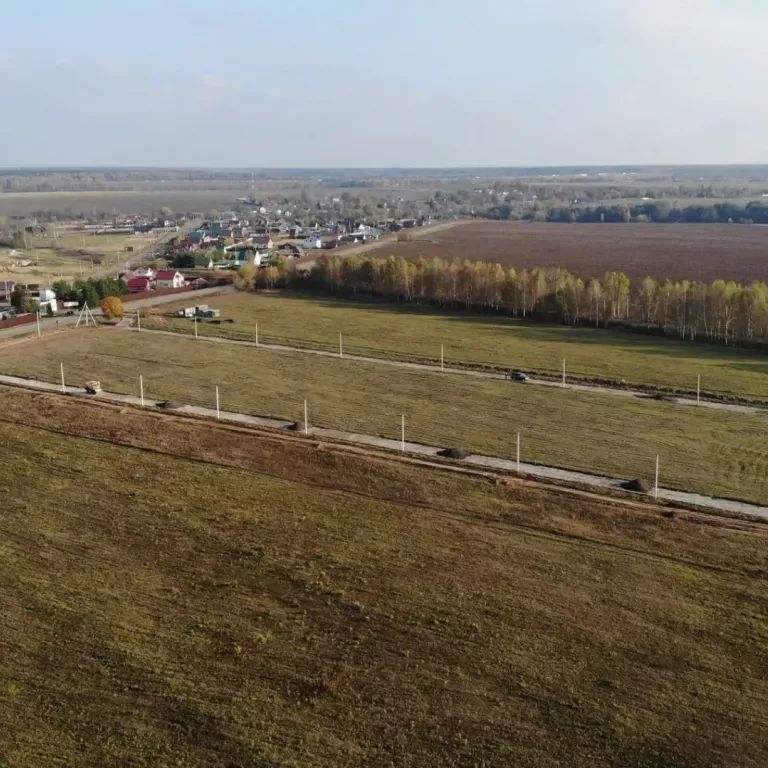 Лучи